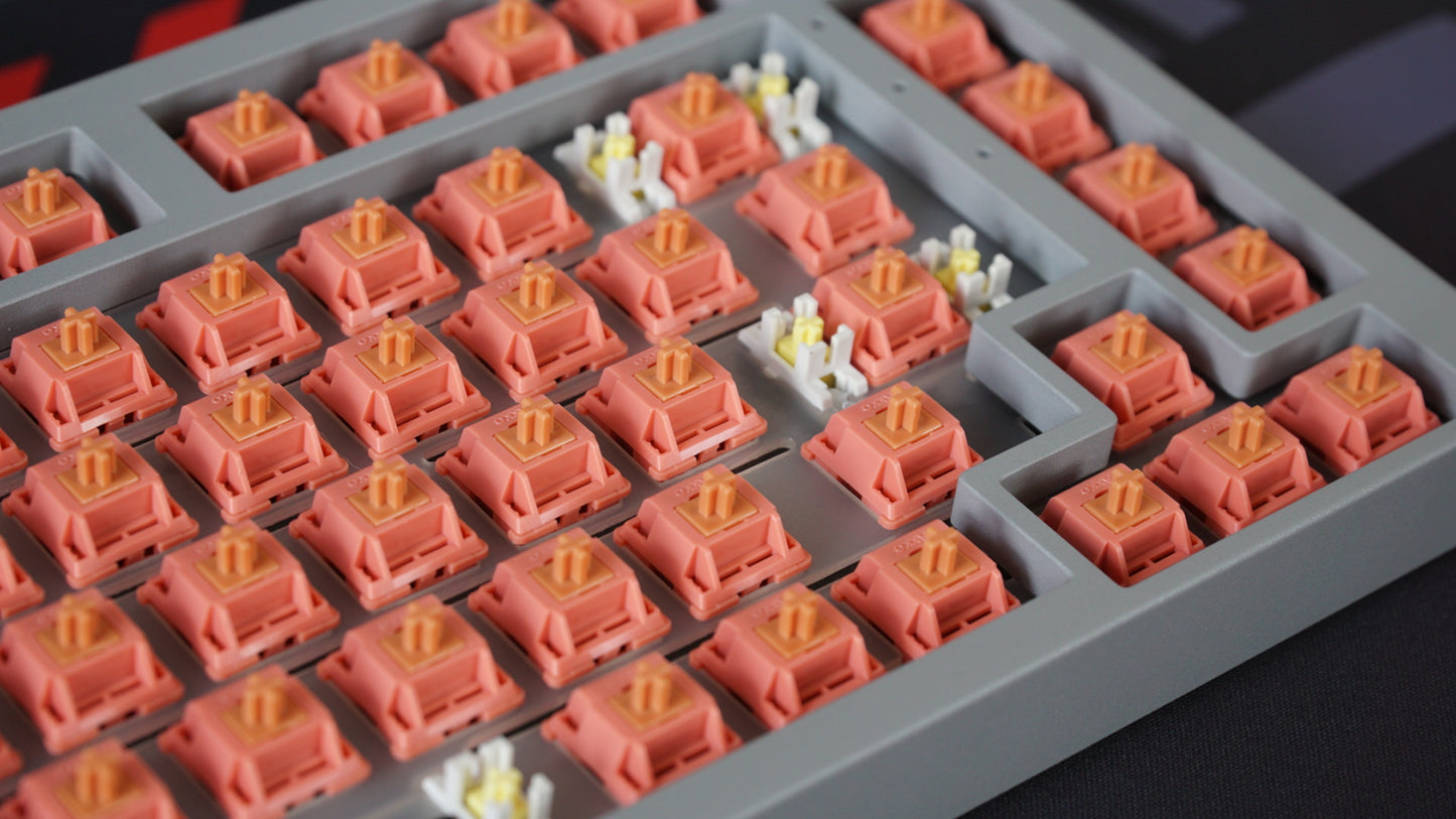rosewood switches (linear)