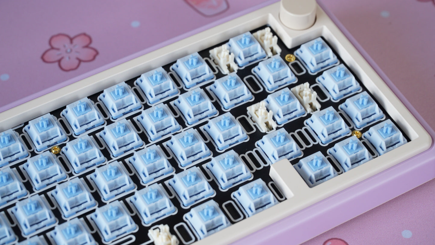 HMX mirror switches (linear)
