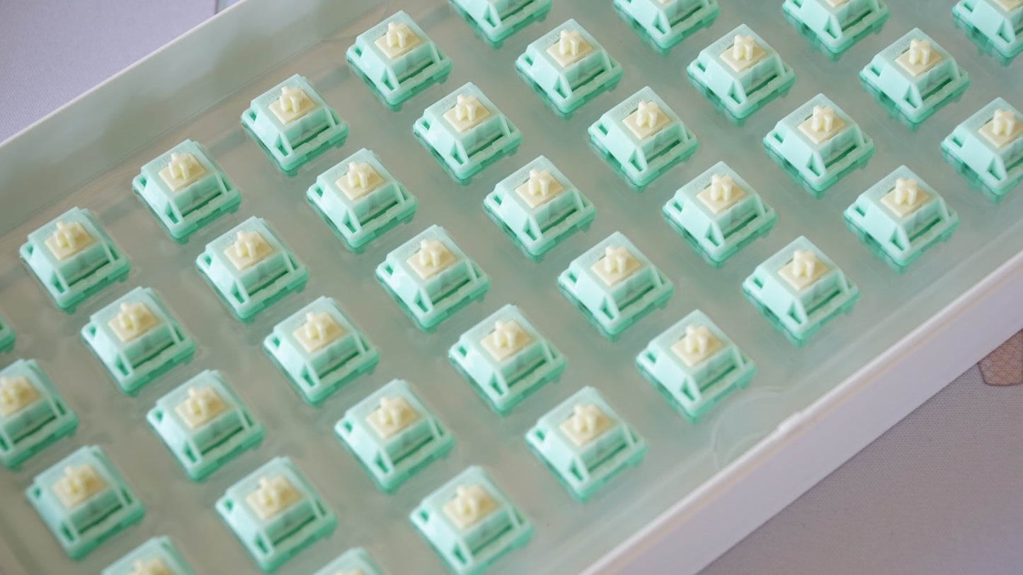 cilantro switches (tactile)