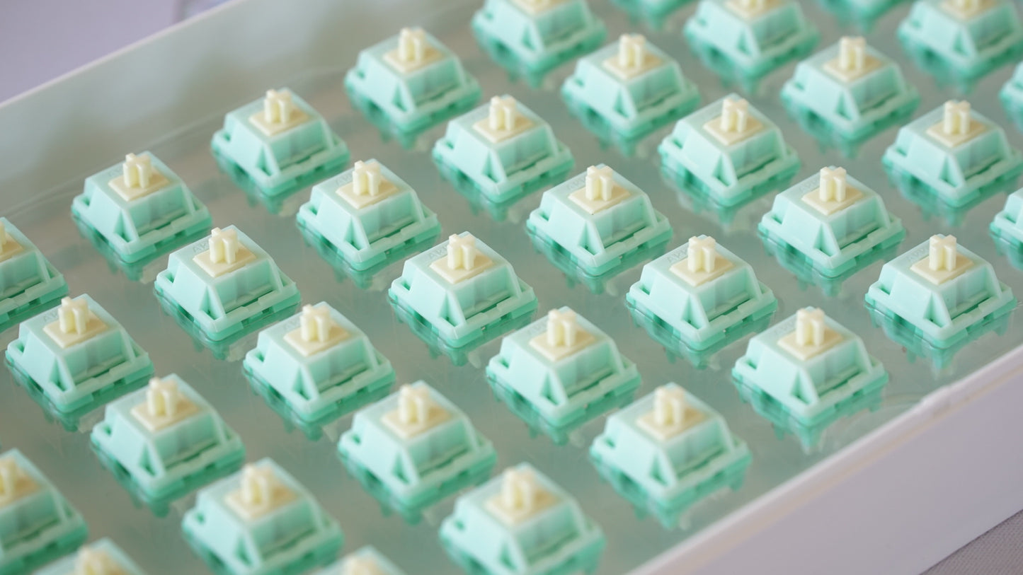 cilantro switches (tactile)