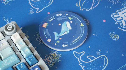 umi diatomite coaster