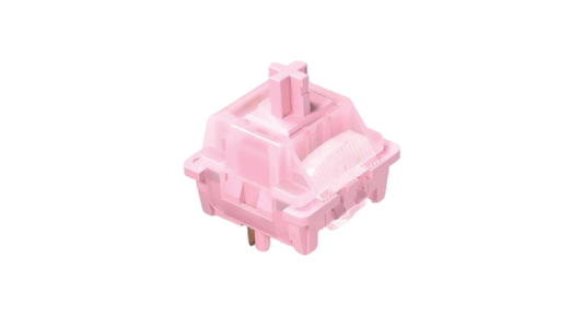 walksnow switches (tactile)