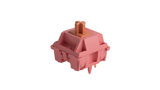 rosewood switches (linear)