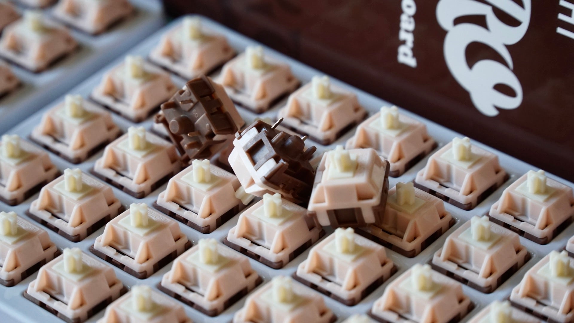 10 pack switches