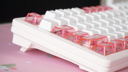 fuyu no hana M87 build