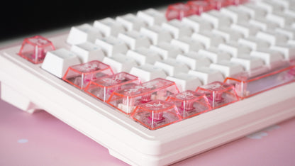 fuyu no hana M87 build