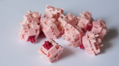 sarokeys strawberry wine switches (linear)