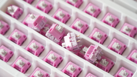 soulcat x SPM hibiscus switches (linear)