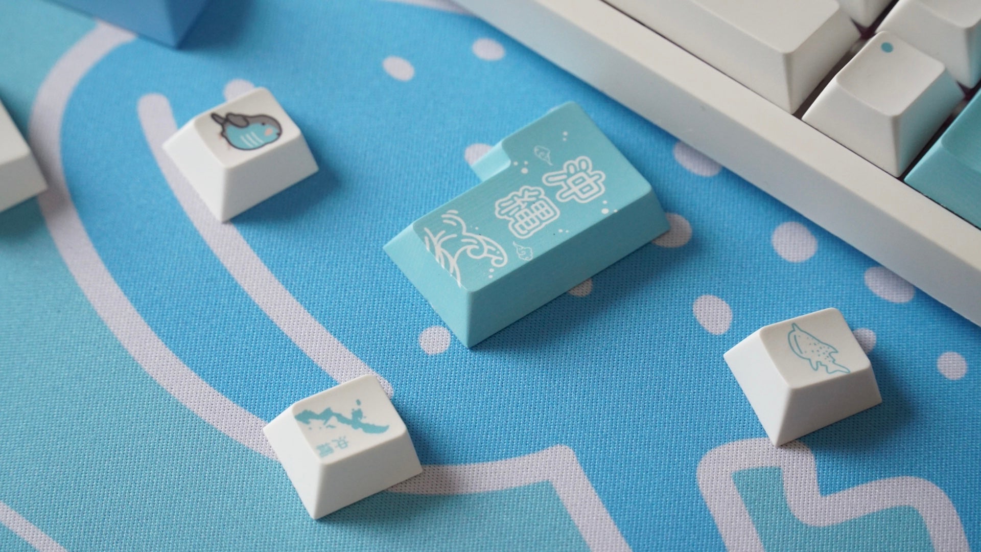 okinawa keycaps 2026 ver. – momokeebs