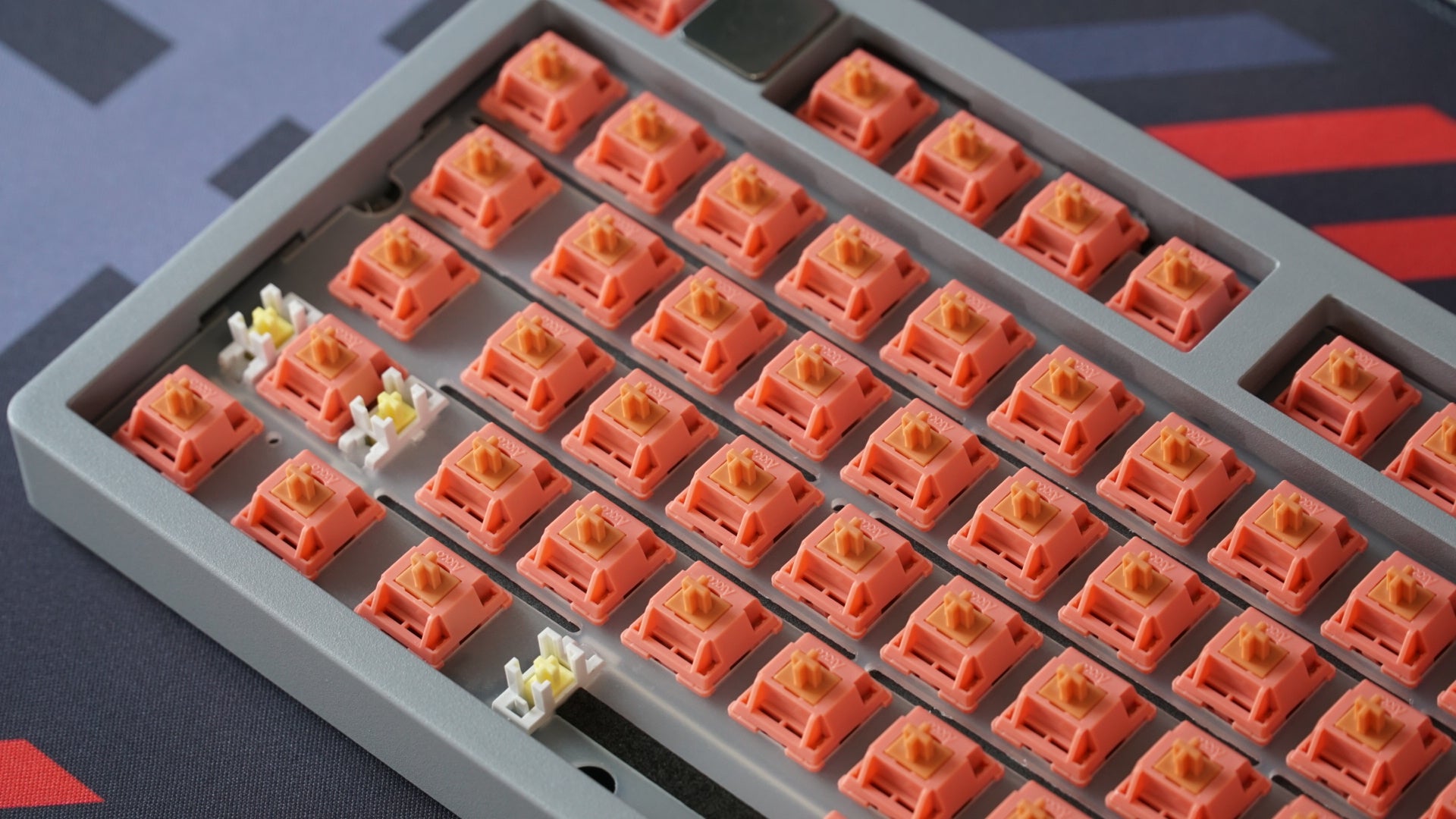 rosewood switches (linear)
