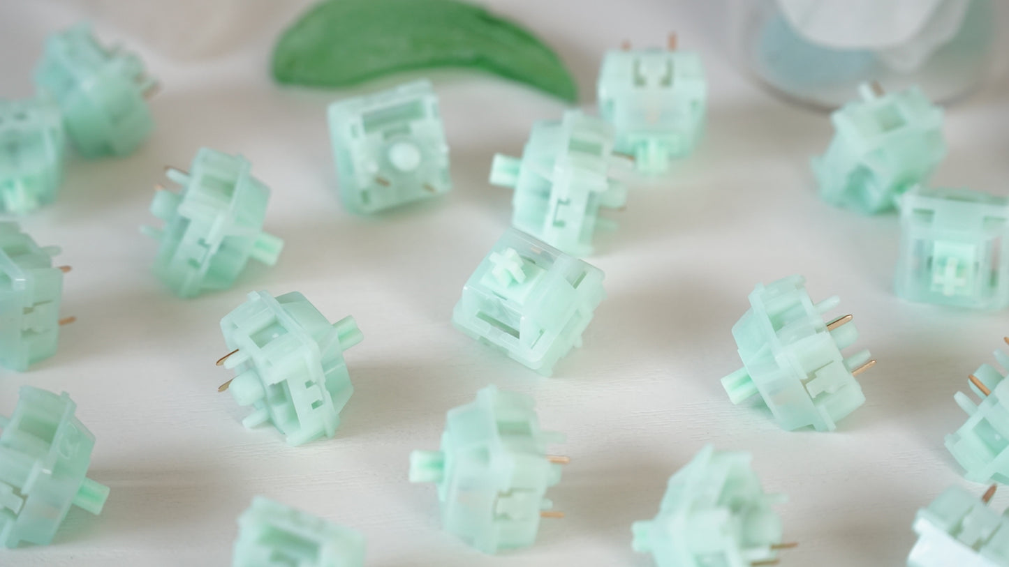 HMX summer green switches (linear)