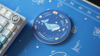 umi diatomite coaster