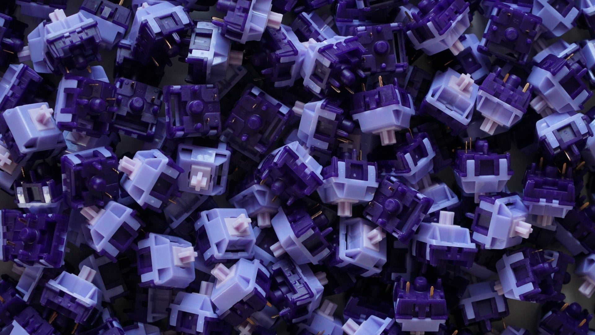 tequila switches (linear)