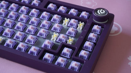 tequila switches (linear)