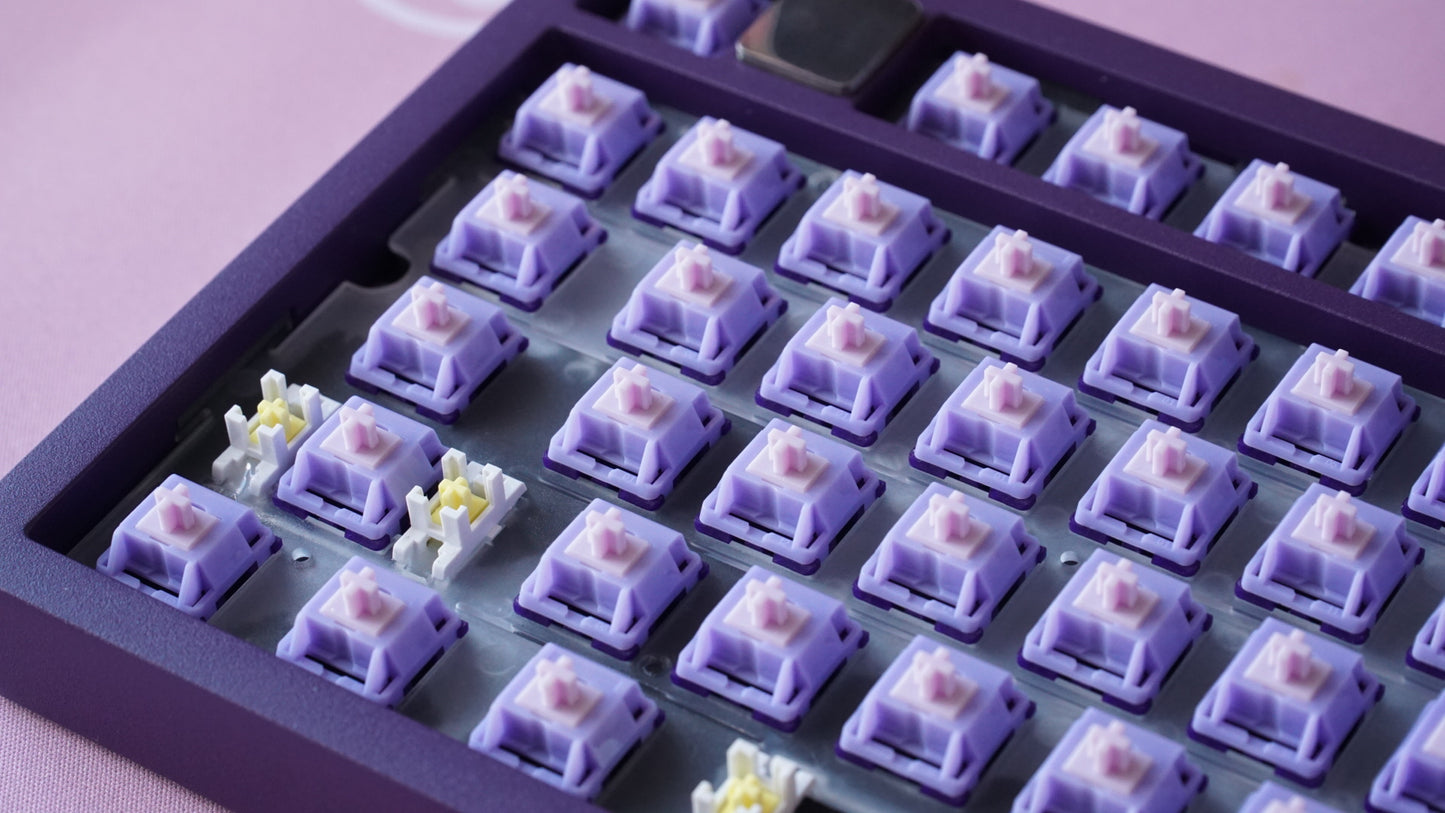 tequila switches (linear)