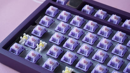 tequila switches (linear)