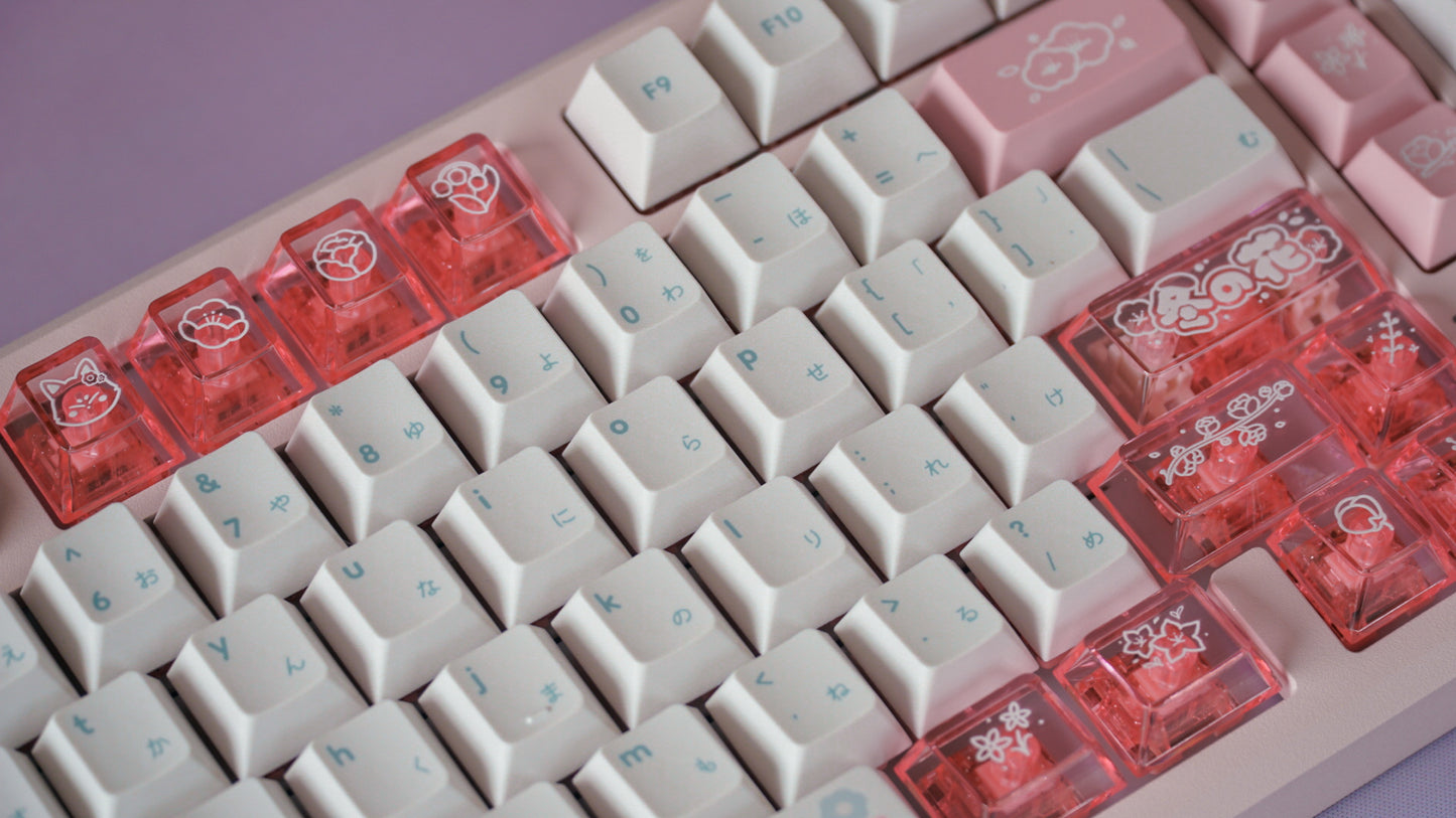 (pre-order) galaxy100 fuyu no hana bundle