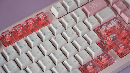 (pre-order) galaxy100 fuyu no hana bundle