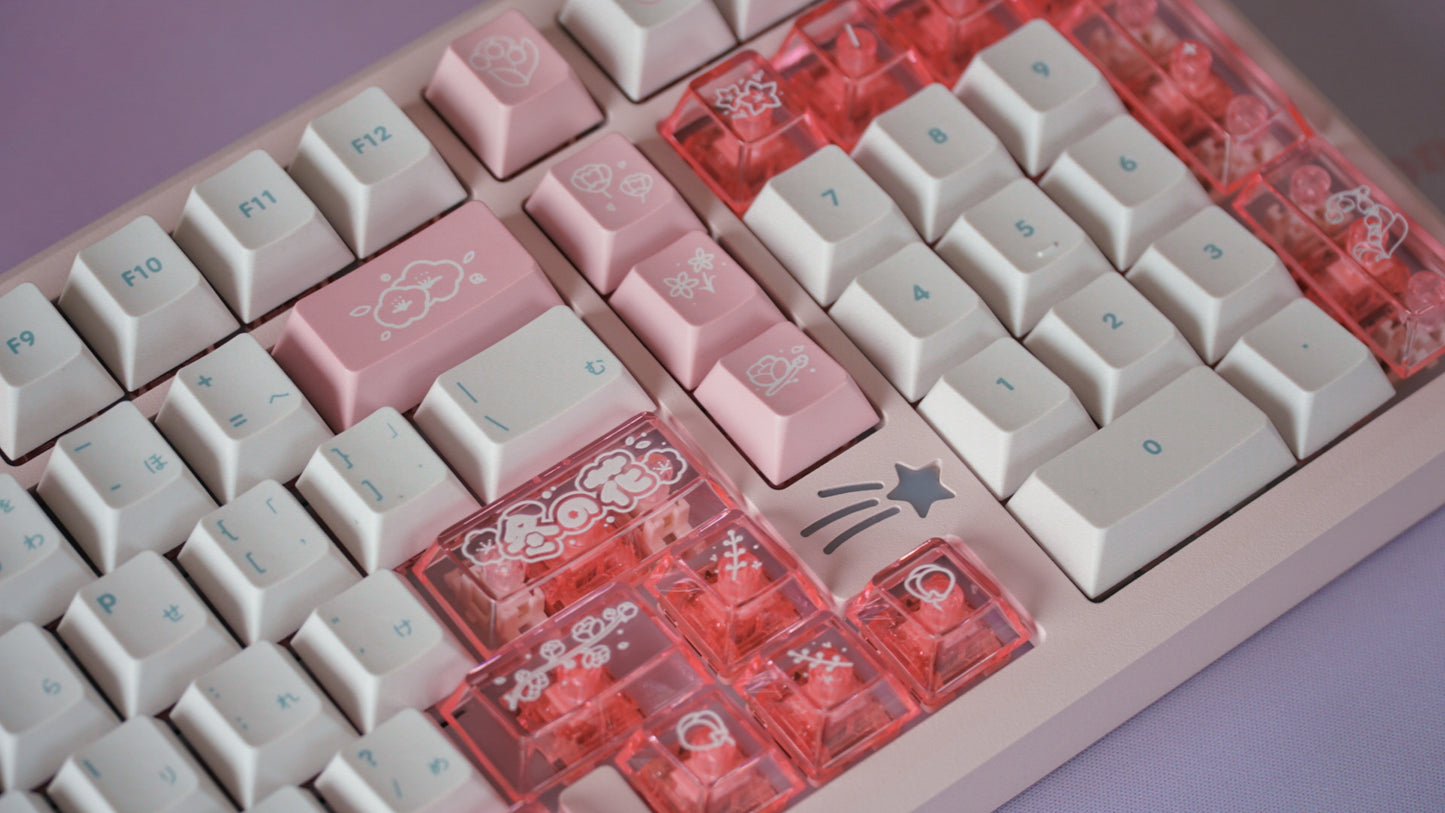 (pre-order) galaxy100 fuyu no hana bundle