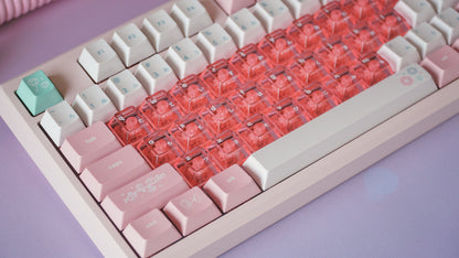 (pre-order) galaxy100 fuyu no hana bundle