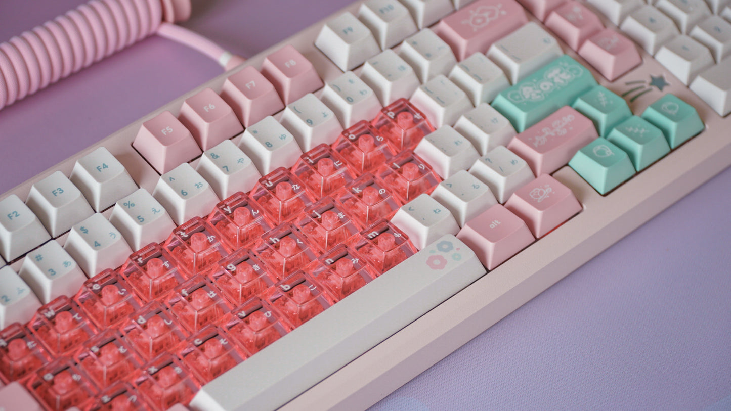 (pre-order) galaxy100 fuyu no hana bundle