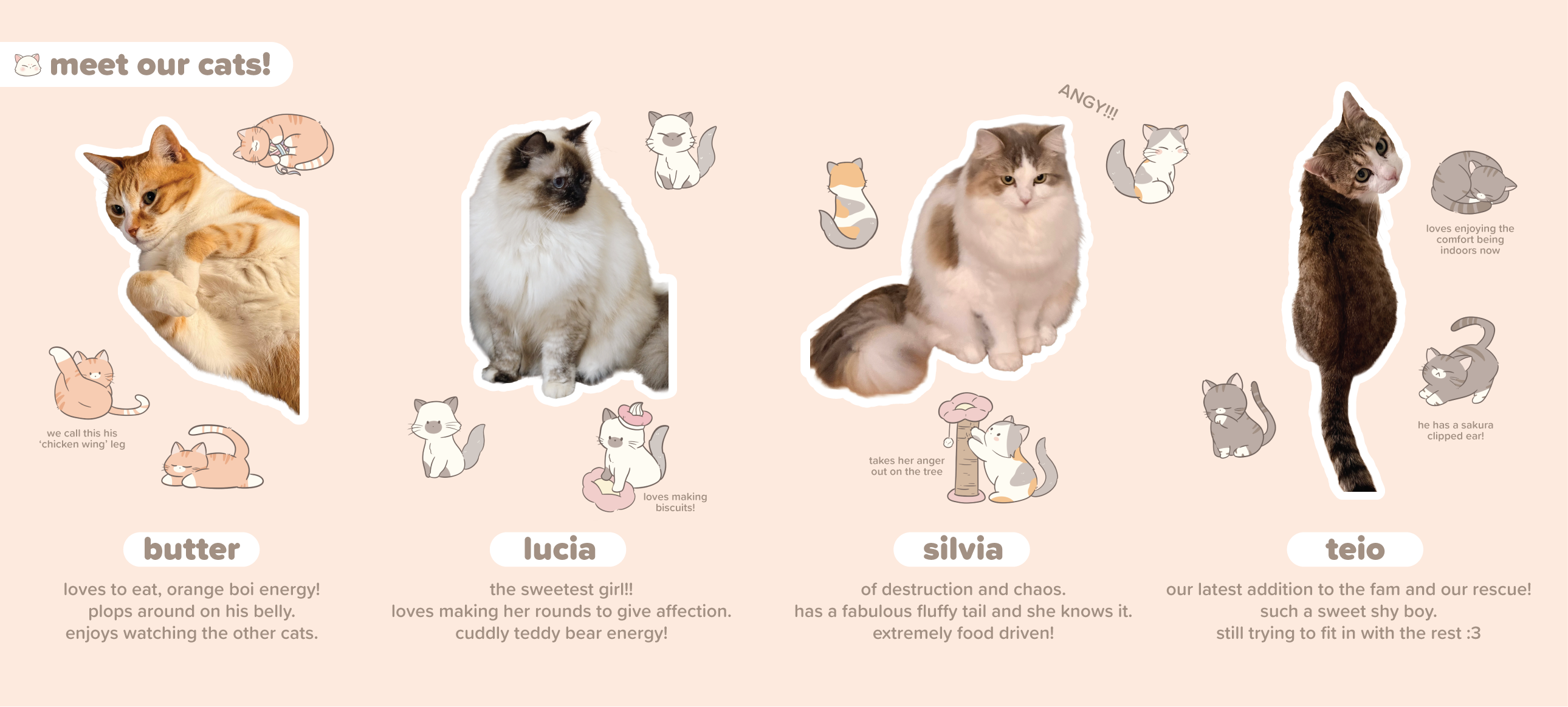 just cat things deskmat
