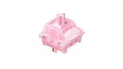 walksnow switches (tactile)