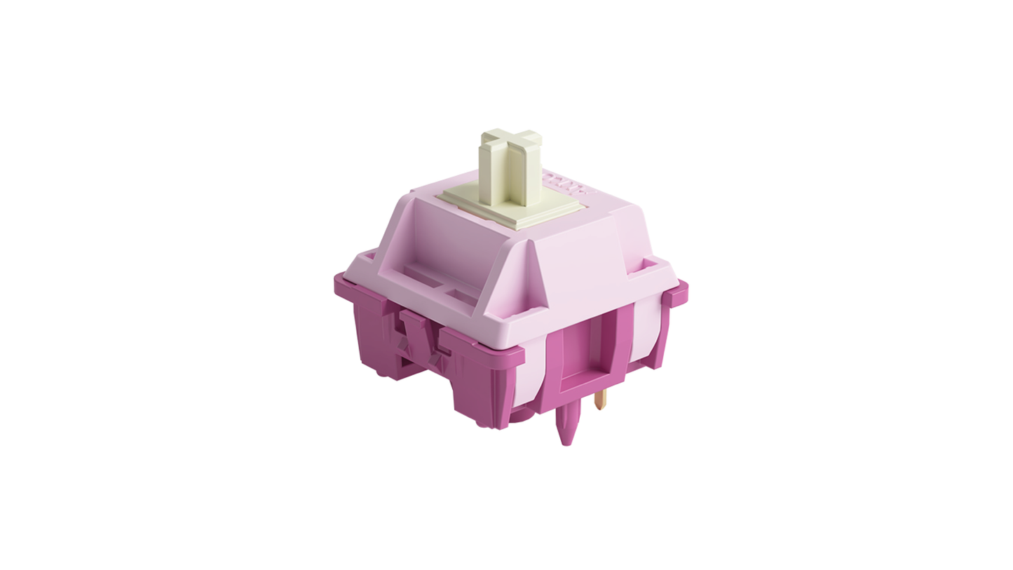 Akko creamy purple v3 switches (tactile)